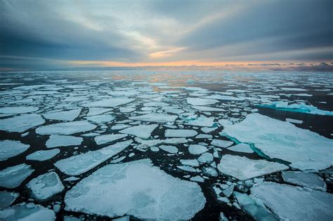 arctic sea ice report
